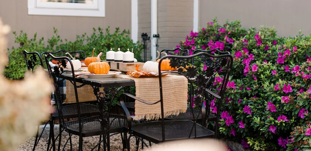 Adding Fall Interest to Your Landscape